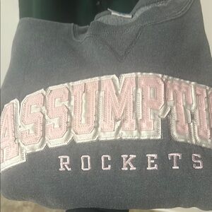 Russell Athletic Gray and Pink Crew Neck Sweater